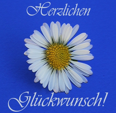 GÄNSEBLÜMCHEN