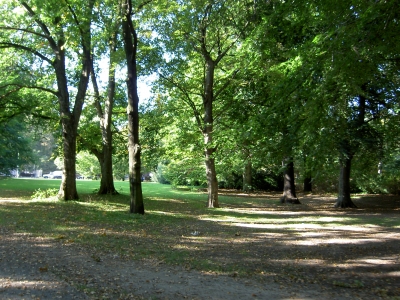 Tiergarten 1