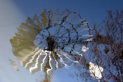 Windrad, Spiegelung auf Wasseroberfläche #2