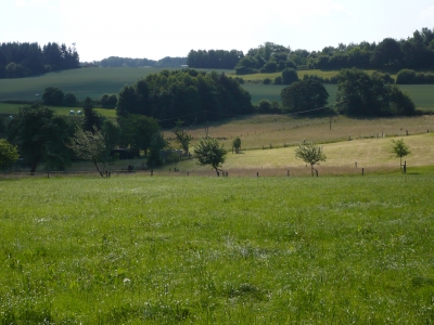 Ein Stück Sauerland