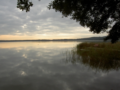 Morgens am See