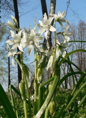 Endlich Frühling