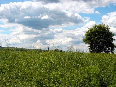 Himmel und Wolken 2