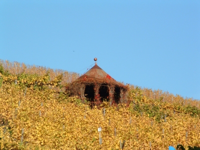 Hütte in Weinberg