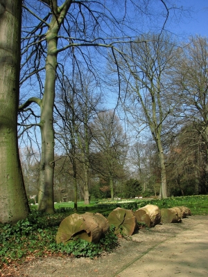 Frühling im Schlosspark in Bremen