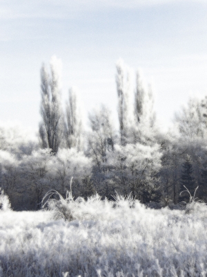 Schönebeck im Winter