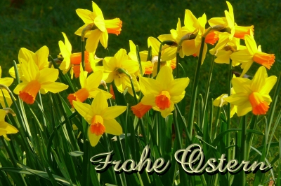 "Frohe Ostern"