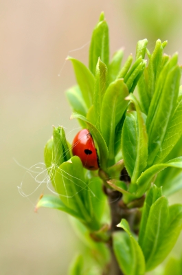 Verstecken