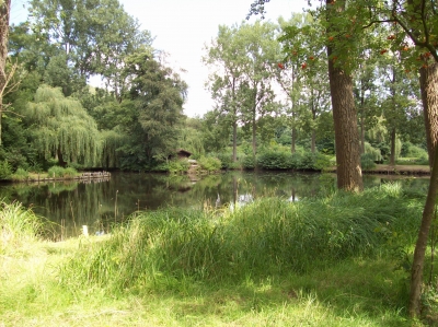 Ruhepol - kleiner See im Tierpark