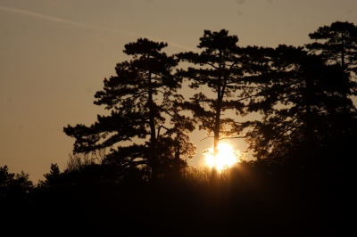 Sonnenaufgang in den Bergen