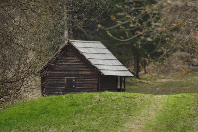 Ein Haus im Wald