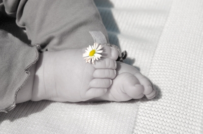 babyfüsse mit gänseblume