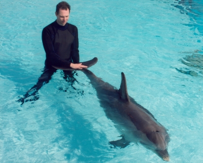 Medical Training mit Delphin