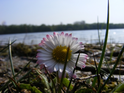 der Nymphensee in Brieselang