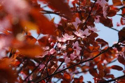 Endlich Frühling