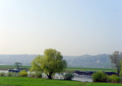 Schubverband auf der Elbe bei Radebeul Altkötzschenbroda