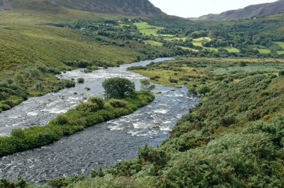 Südirische Flusslandschaft mit Stromschnelle