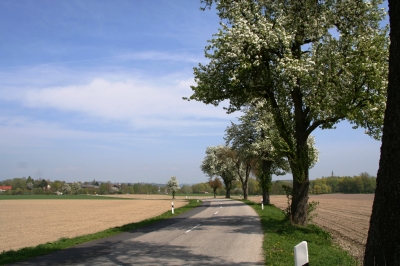 Frühling