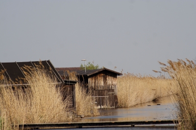 Am Neusiedlersee