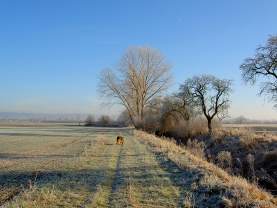 Wintermorgen