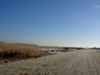 Wintermorgen 2