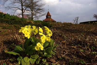 Esslinger Burg 3