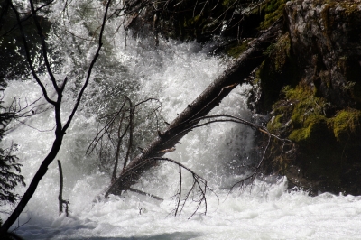 Die Kraft des Wassers