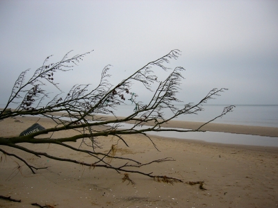 Strand von Bansin 1