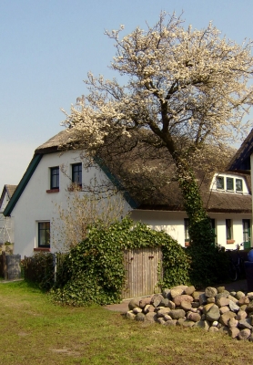 Reetdachhaus in Vitte