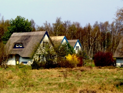 Ferienhäuser in der Dünenheide