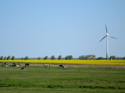 Ostfriesland