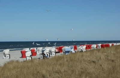 Strandkörbe mit Möwen