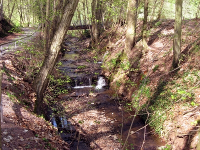 Bächlein im Harz