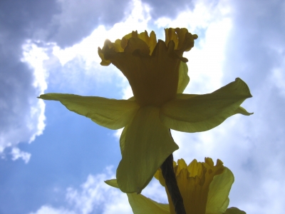 Von Wolken umgeben