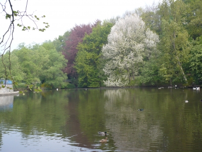 Volksgartenteich