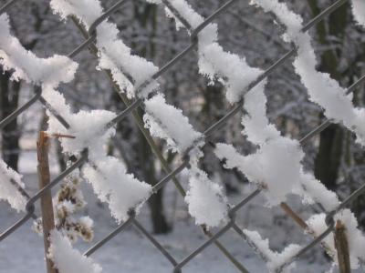 Zaun im Winter