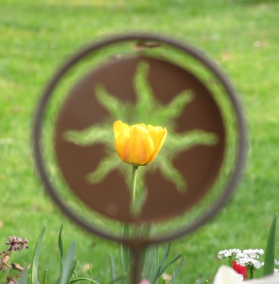 Tulpe im Windrad