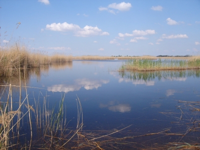 Neusiedler See