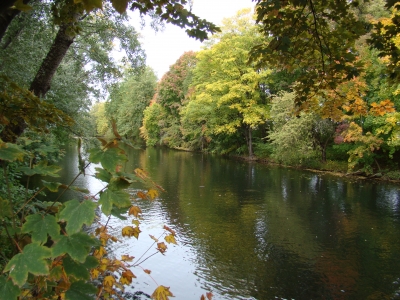 Herbstblick