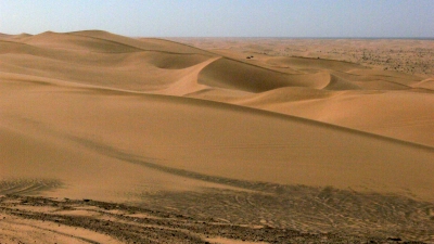 Wüstenlandschaft Süd-USA (Algodones Dunes)