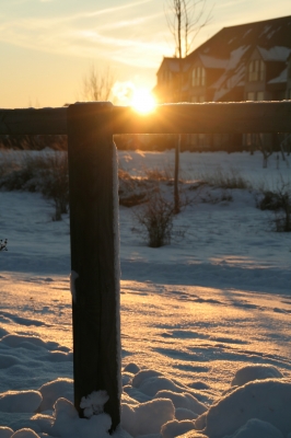 Untergehende Sonne im Winter