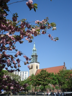 Frühling in Berlin 03