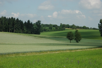 Kraichgau - Wiesen und Felder
