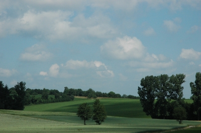 Kraichgau - Wiesen und Felder