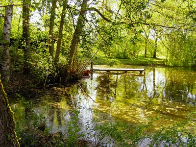 Frühling am kleinen Teich 1