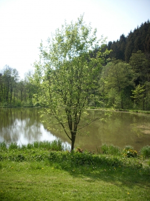 Am Neckargeracher See