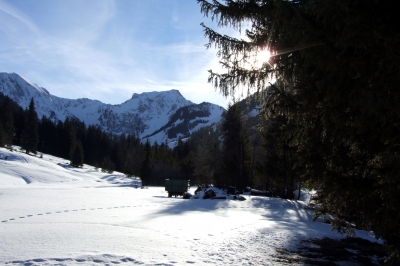 Winterlandschaft