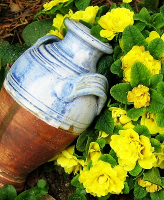 Blumen mit Vase I