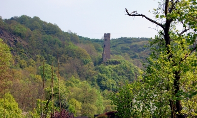 Blick auf die Burgruine Phillipsburg zu Monreal in der Eifel