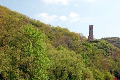 Blick auf die Burgruine Phillipsburg zu Monreal in der Eifel #2